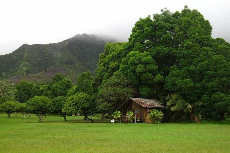 How to Find the Right Plot of Land For Your Tiny Home Living